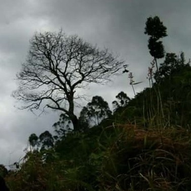 Masih Banyak Tempat Indah 4