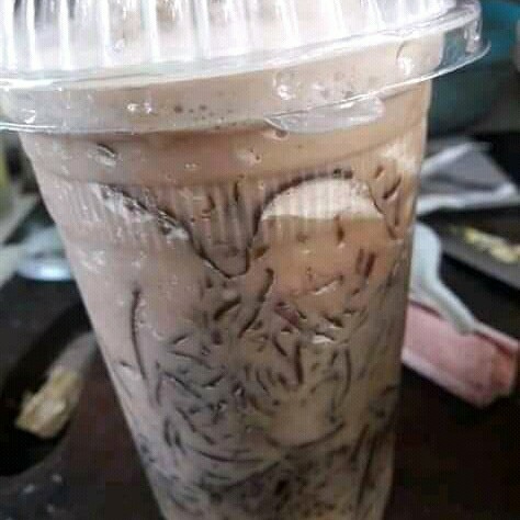 Copucino Cincau