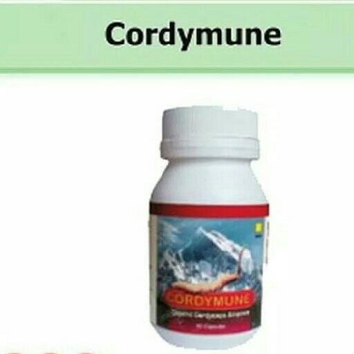 Cordymune Capsul Herbal 