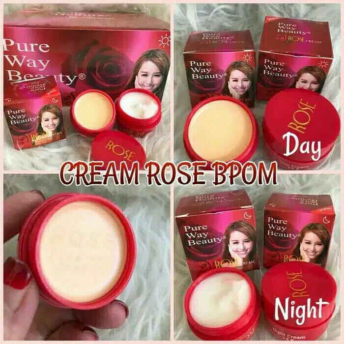 Cream Rose