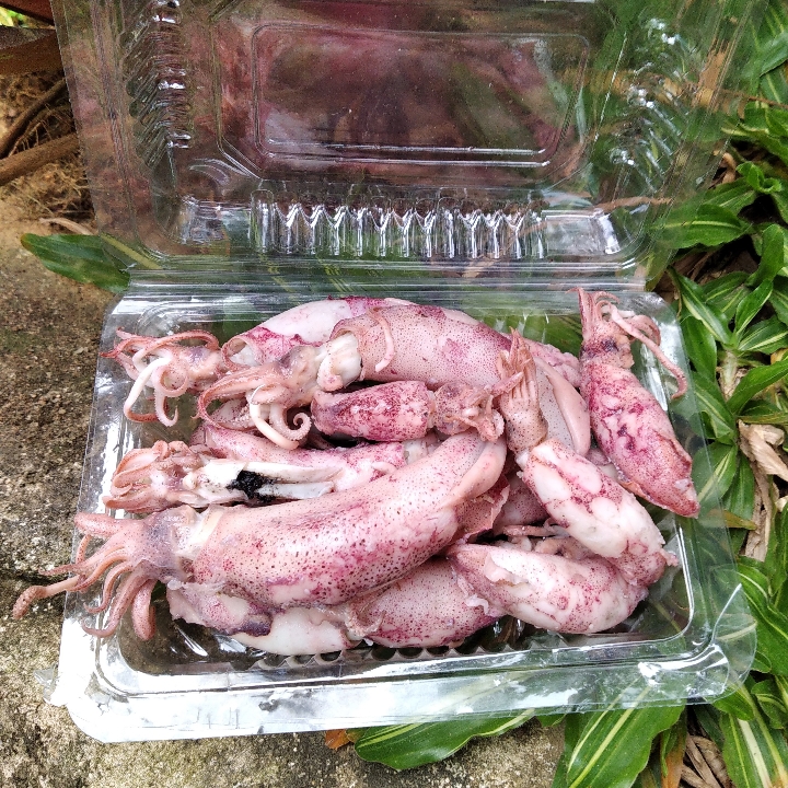 Cumi Asin 100 Gram