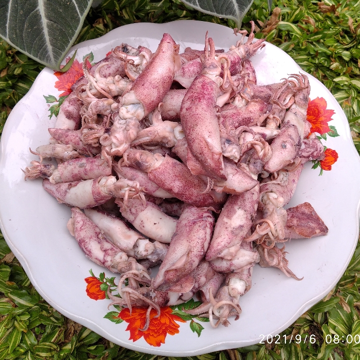 Cumi Asin 500 Gram