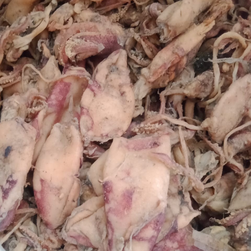 Baby Cumi Kering 1 Ons
