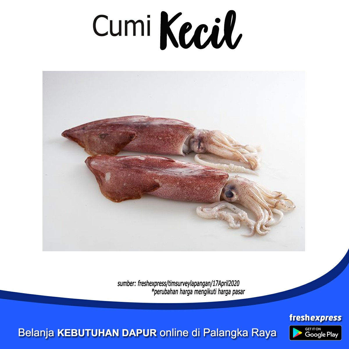 Cumi Kecil 1 Kg