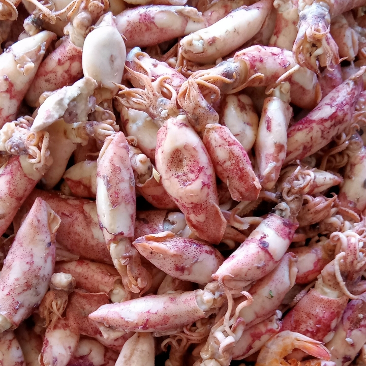 Cumi Kering Asin