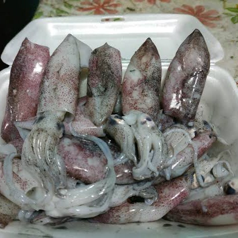 Cumi-cumi