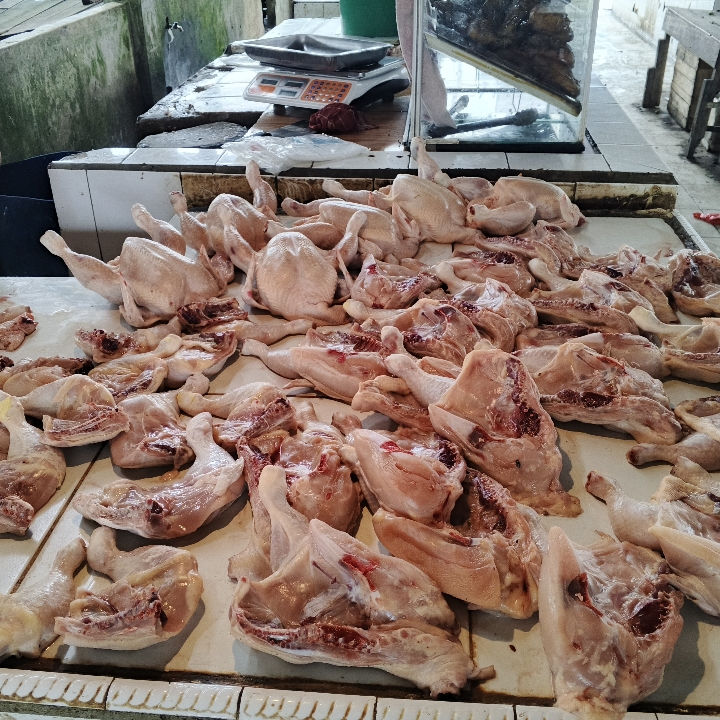DAGING AYAM 