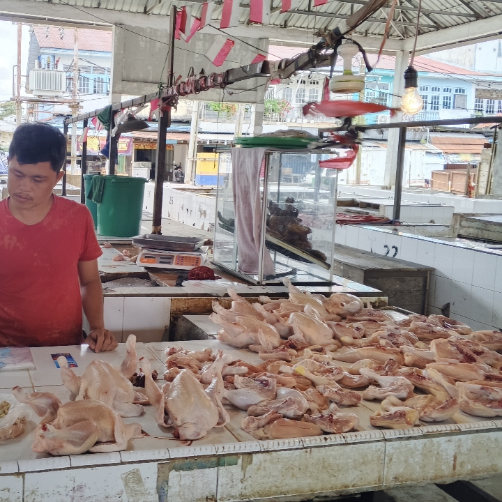 DAGING AYAM  2