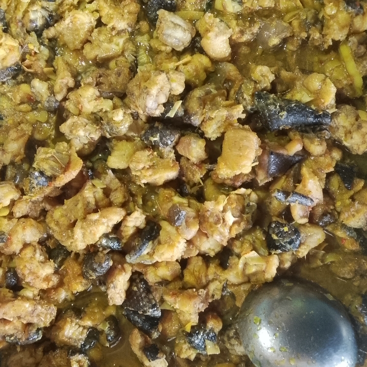 DAGING SAWAK ATAU PITON
