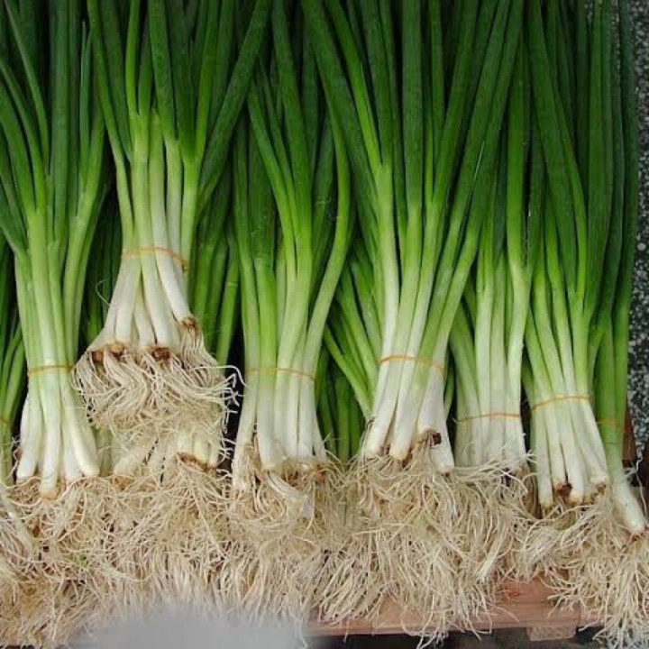 DAUN BAWANG 
