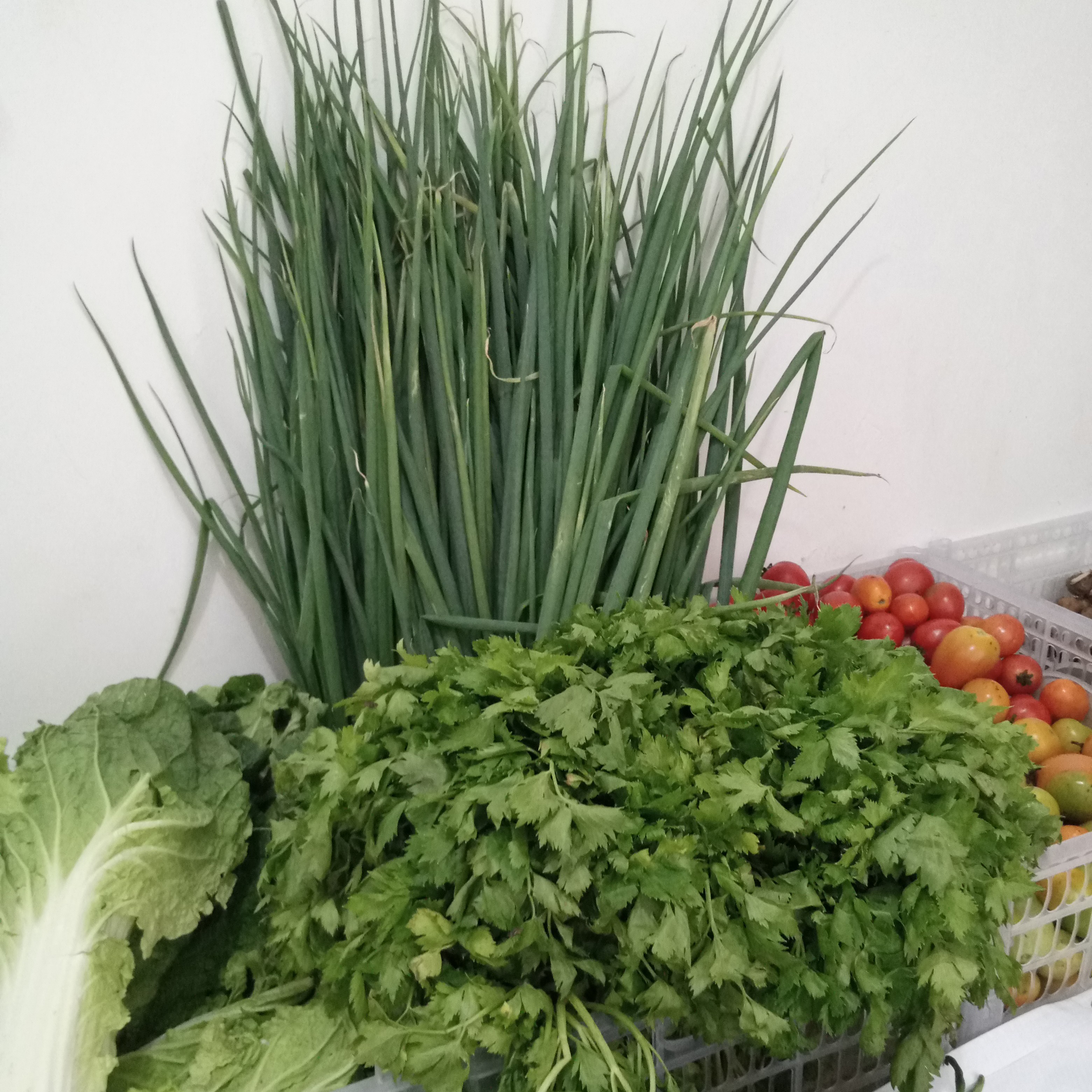 DAUN BAWANG 250 Gram
