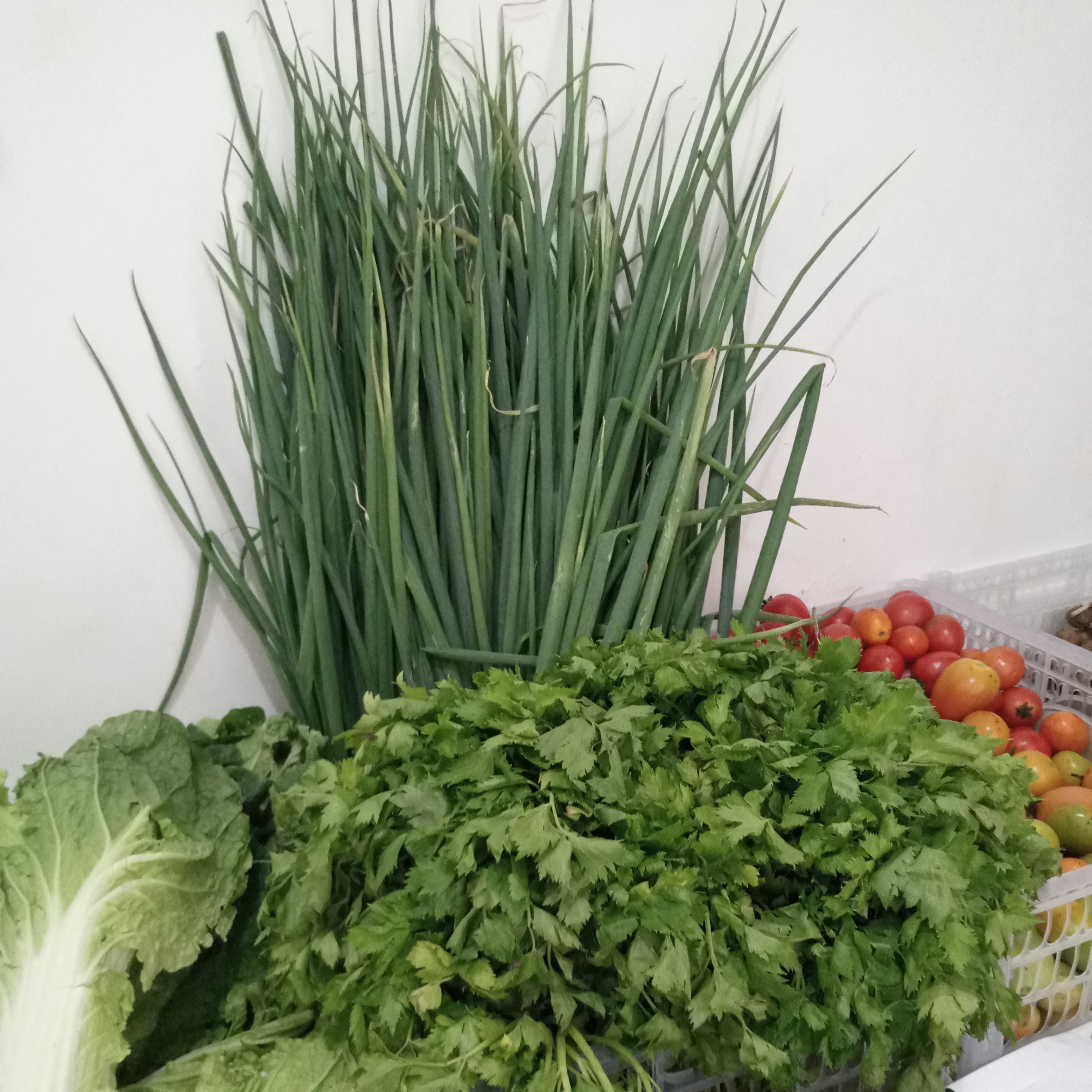 DAUN BAWANG 50 Gram