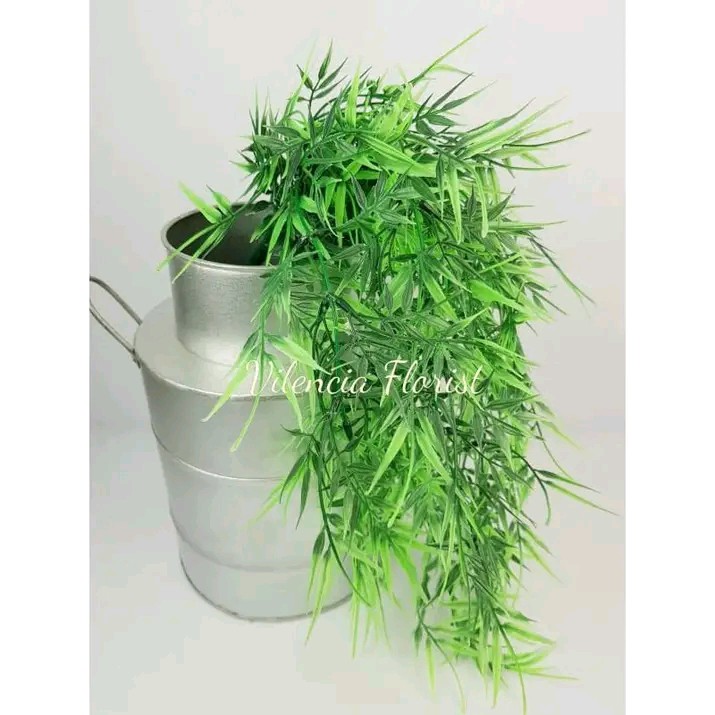 DAUN JUNTAI BAMBU