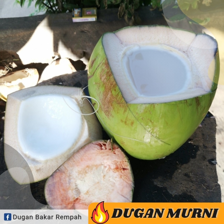 DUGAN HIJAU MURNI
