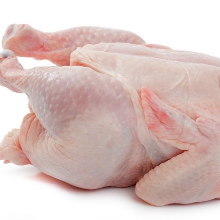 Daging Ayam Segar