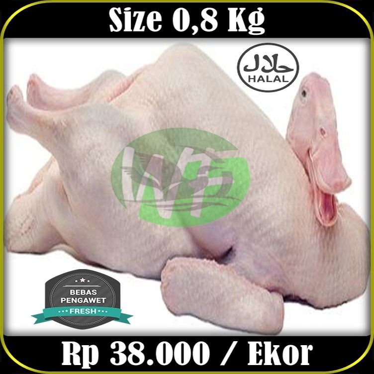 Daging Bebek Karkas Beku 800 Gram