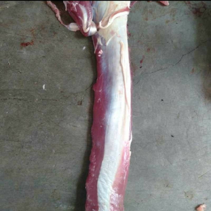 Daging Has Luar
