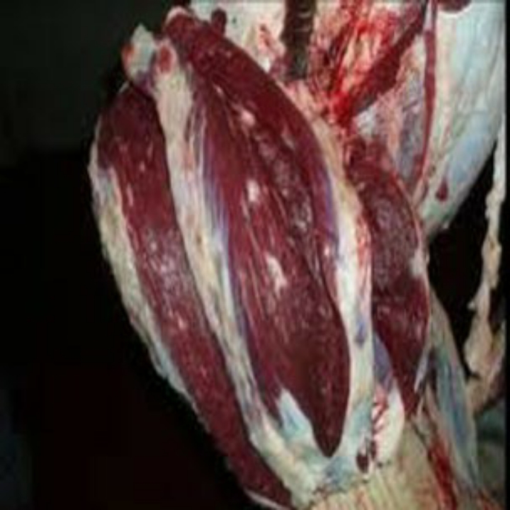 Daging Panggul 