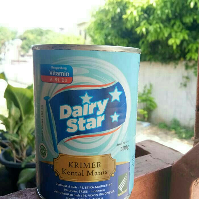Dairy Star Kental Manis 500 Gr 2