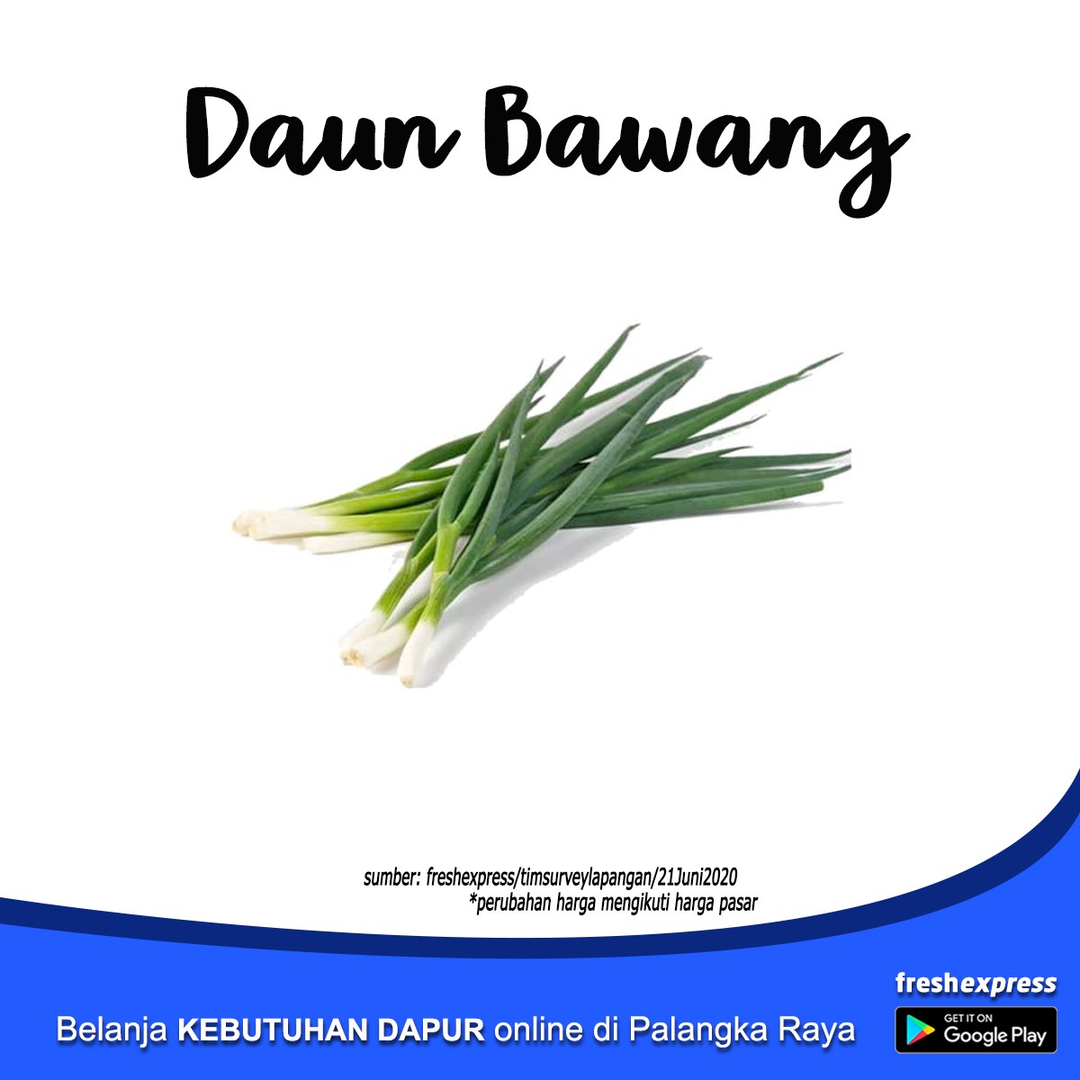 Daun Bawang - Ikat Kecil