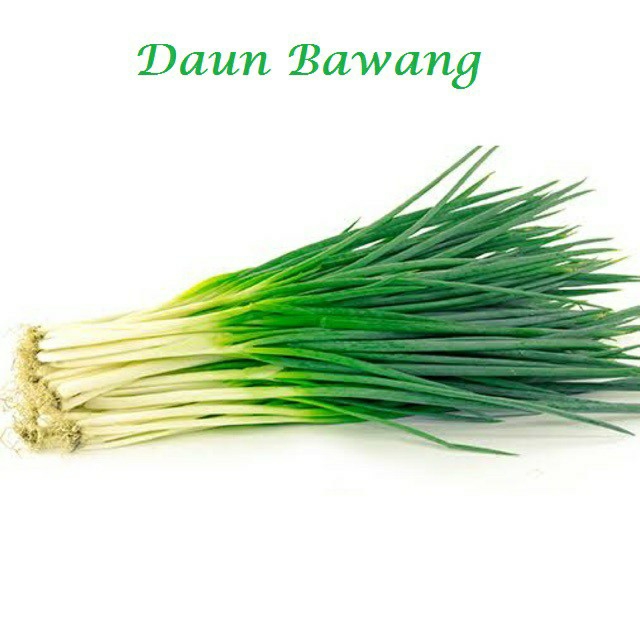 Daun Bawang
