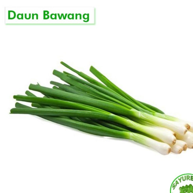 Daun Bawang