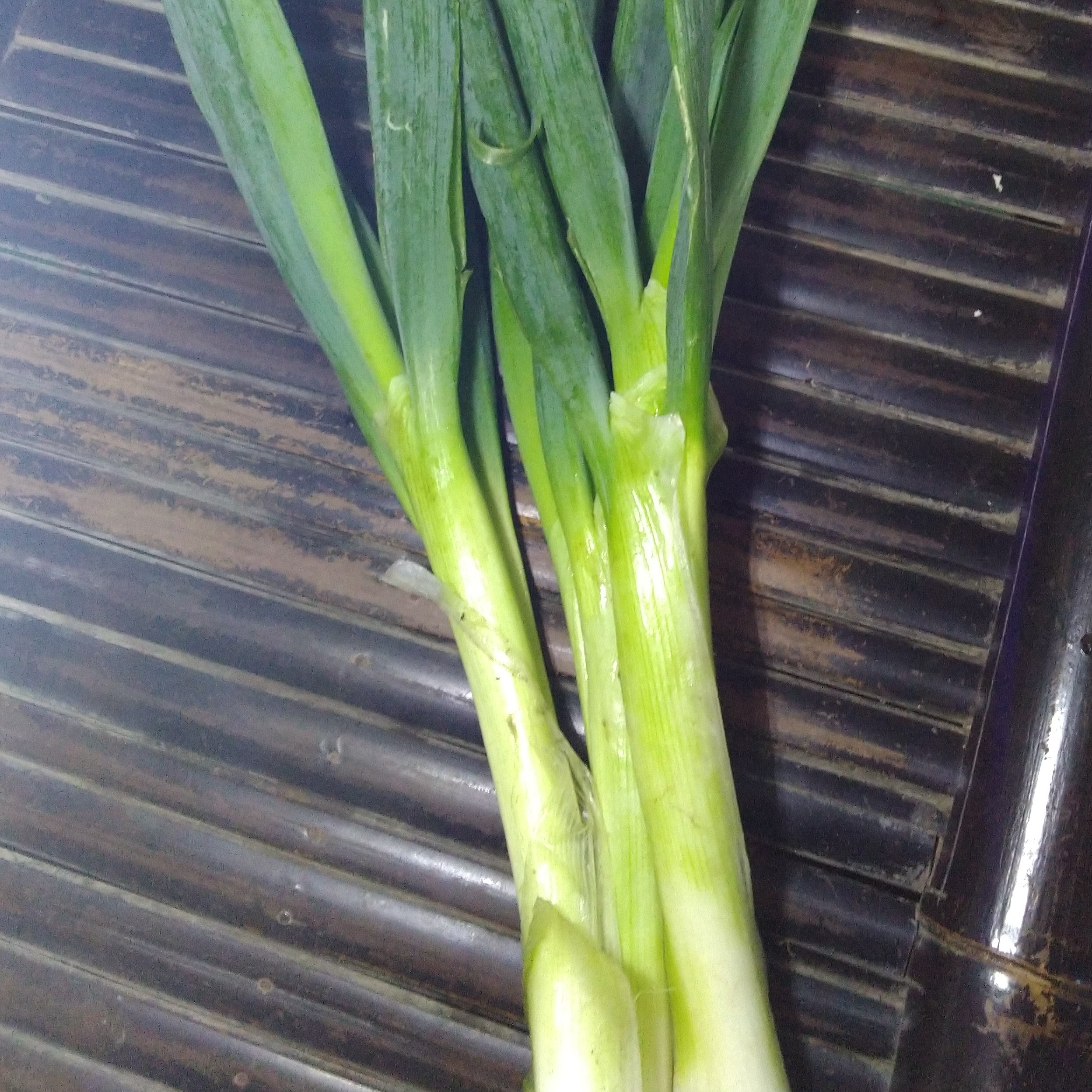 Daun Bawang