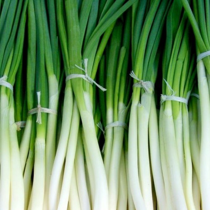 Daun Bawang