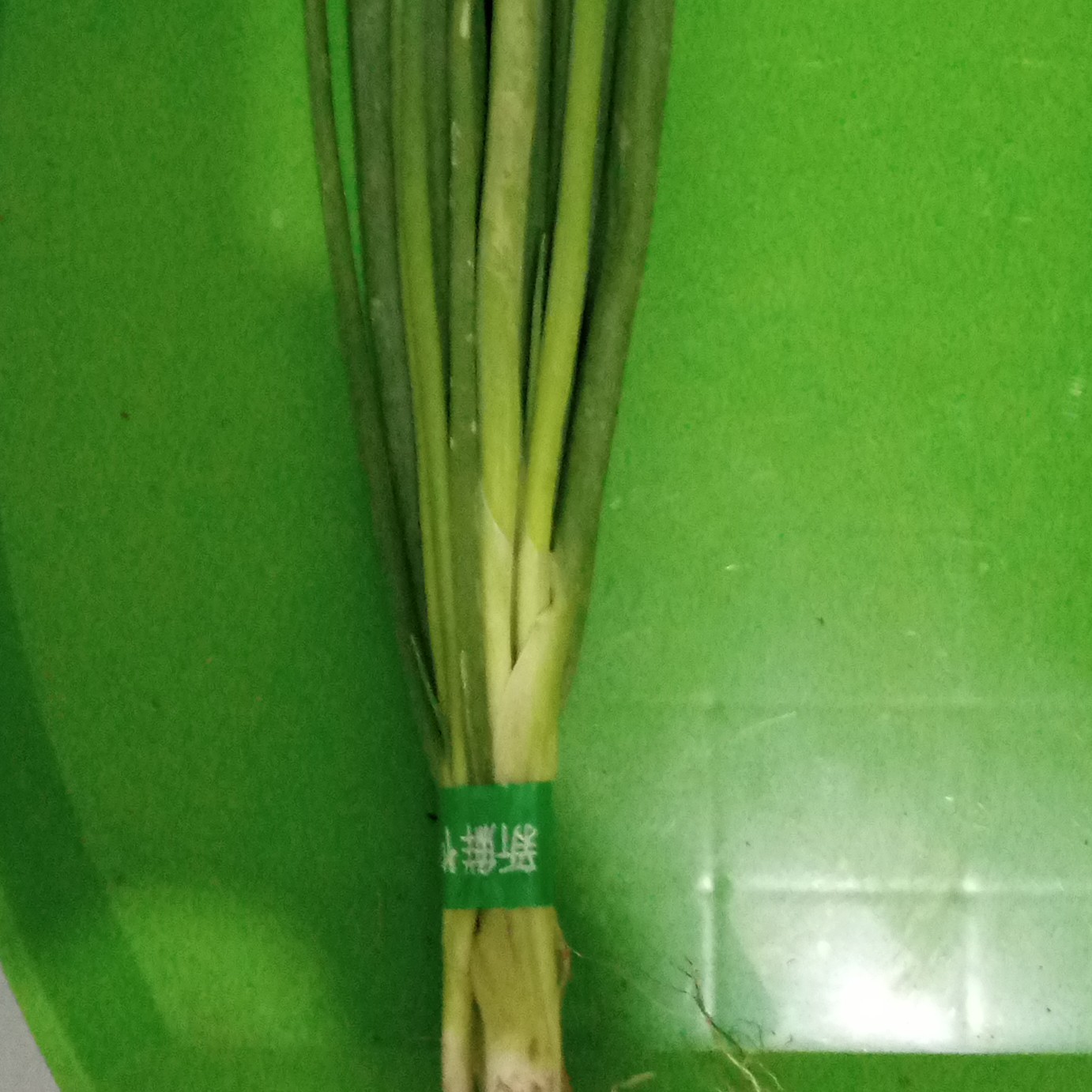 Daun Bawang 250 Gram 2