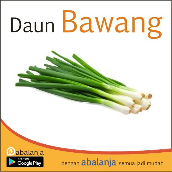 Daun Bawang 1 Ikat