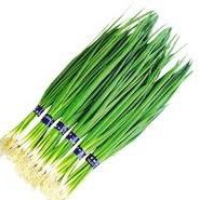 Daun Bawang Kecil