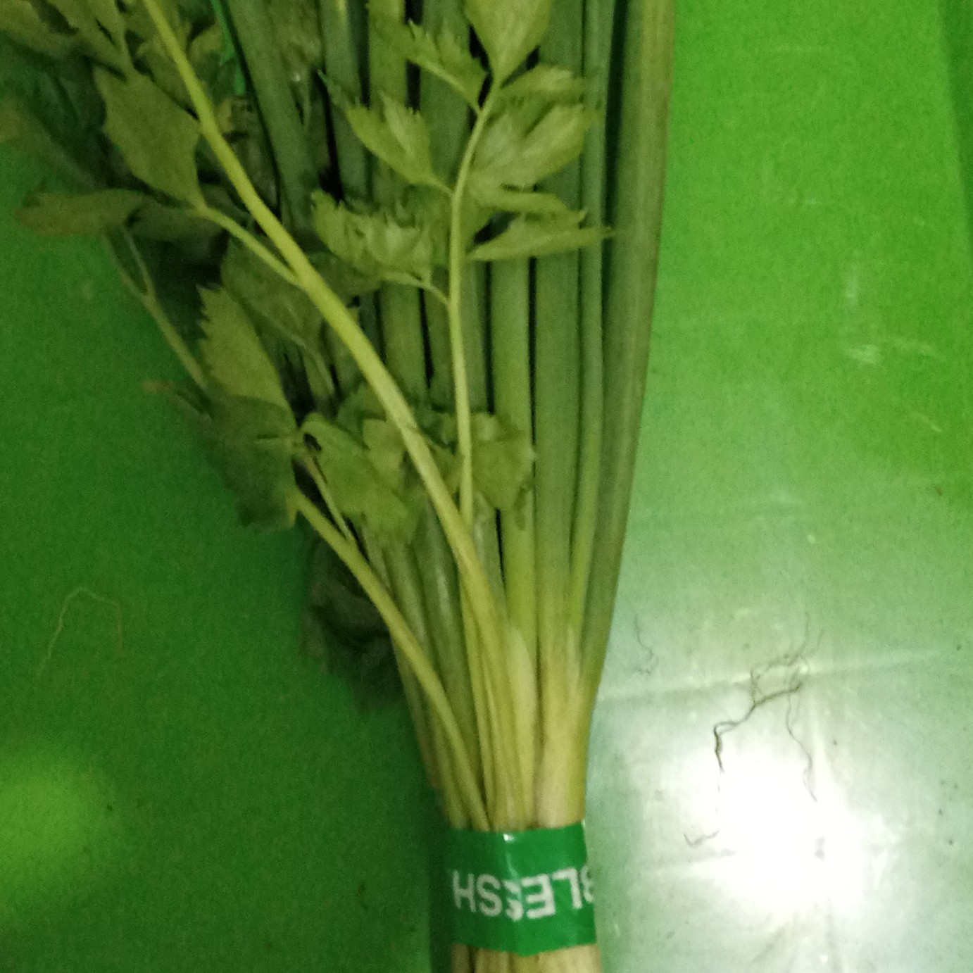 Daun Bawang dan Seledri 50 Gram