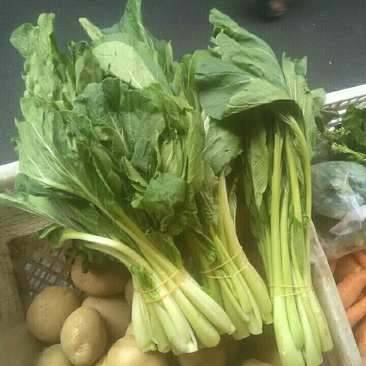 Daun Cesiem -PK-