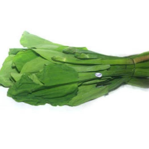 Daun Gendot