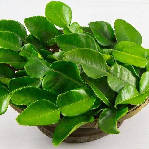 Daun Jeruk