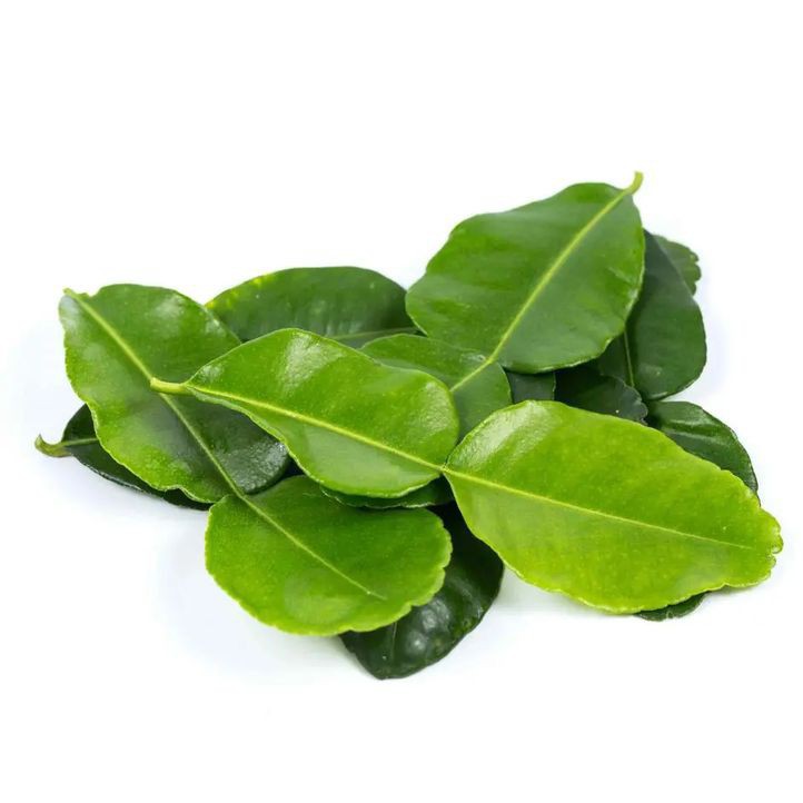 Daun Jeruk