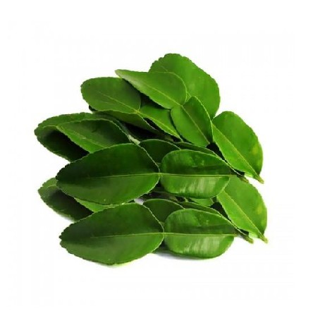 Daun Jeruk
