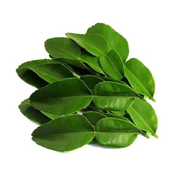 Daun Jeruk