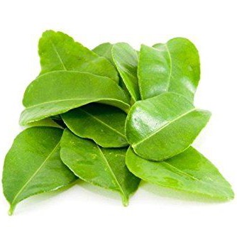 Daun Jeruk