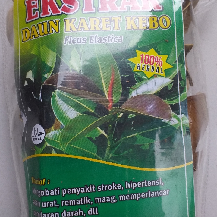 Daun Karet Kebo