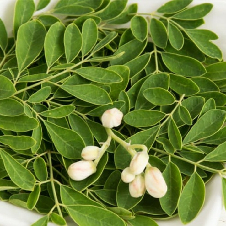 Daun Kelor
