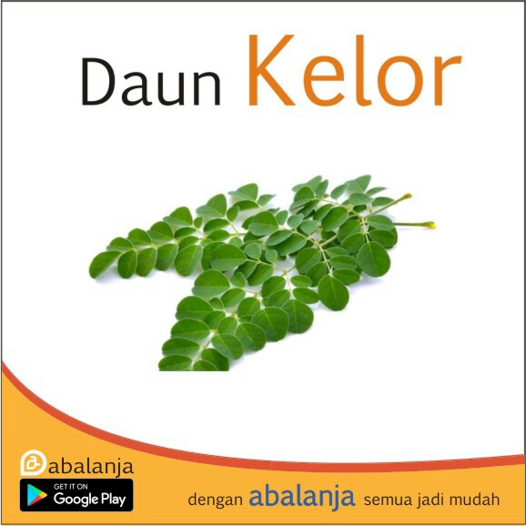 Daun Kelor 1 Ikat