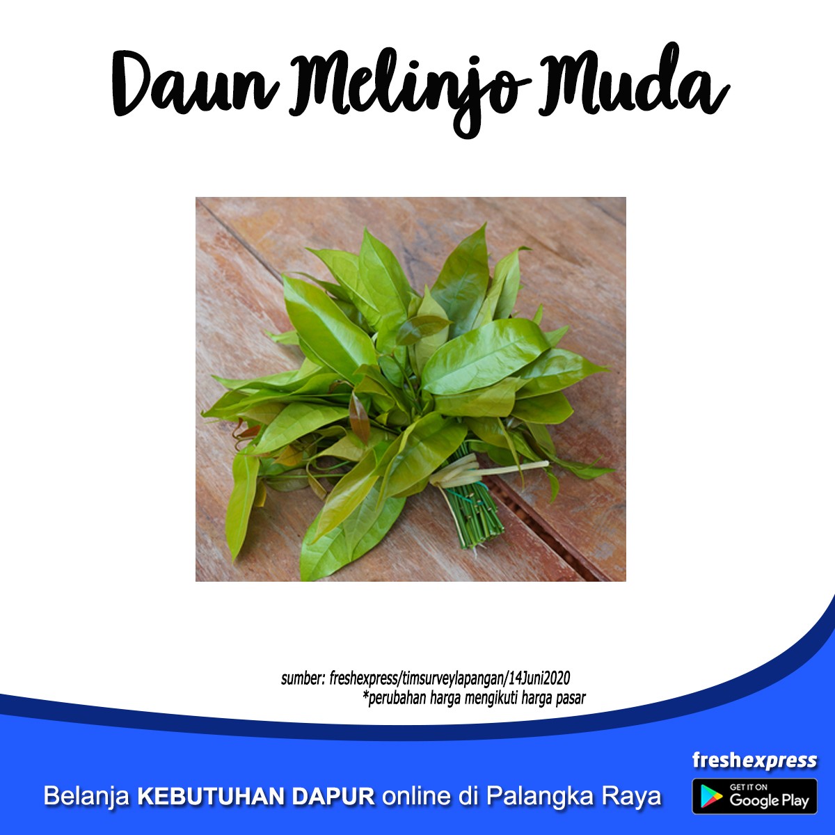 Daun Melinjo 1 Ikat