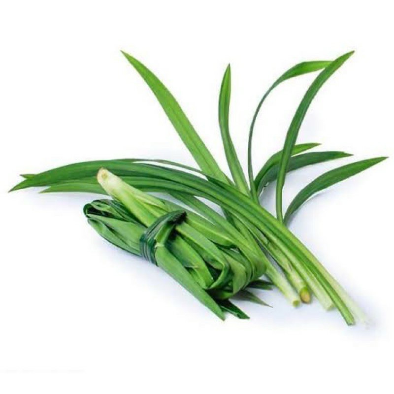 Daun Pandan