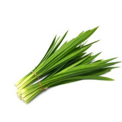 Daun Pandan