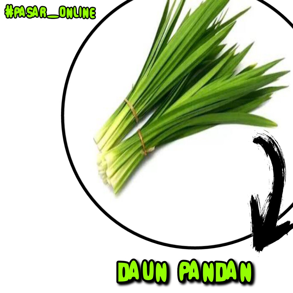 Daun Pandan Per Ikat