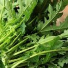 Daun Pepaya 1kg