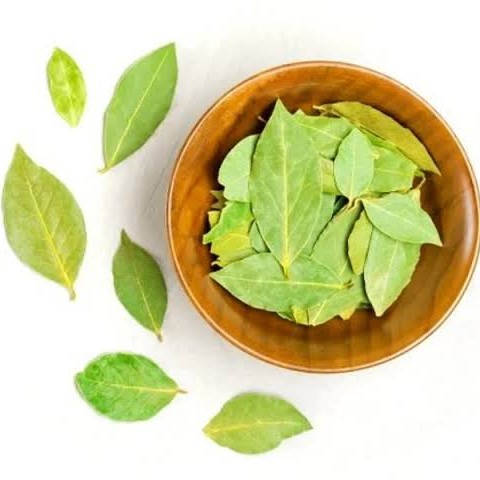 Daun Salam