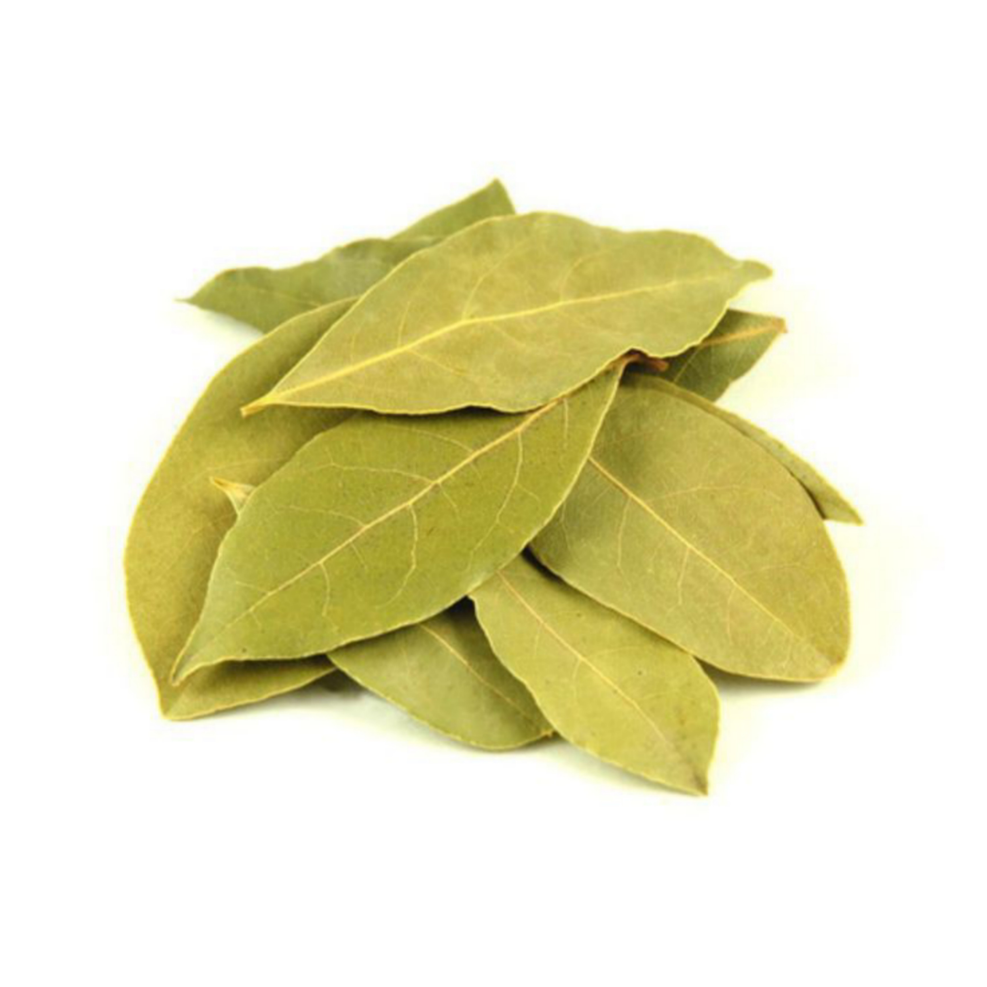 Daun Salam