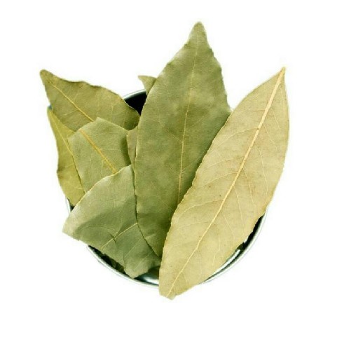 Daun Salam